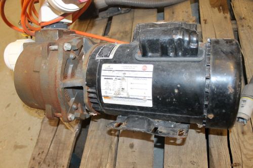 AMT Cast Iron Trash Pump 316B-95 3 HP,