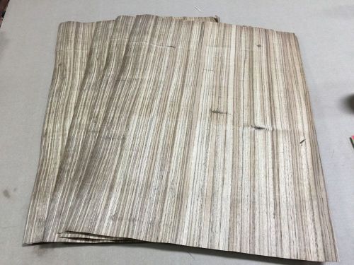 Wood Veneer Zebrawood 17x24 8pcs total Raw Veneer  &#034;EXOTIC&#034;  ZE3-5 12-19