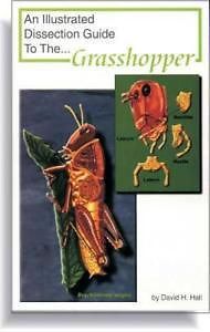 Illustrated dissection guide book to grasshopper for sale