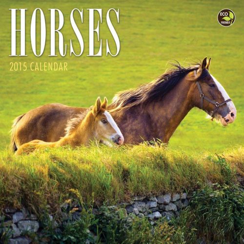 2015 HORSES Mini Desk Calendar NEW 7x7 Outdoor Nature Animals Pony