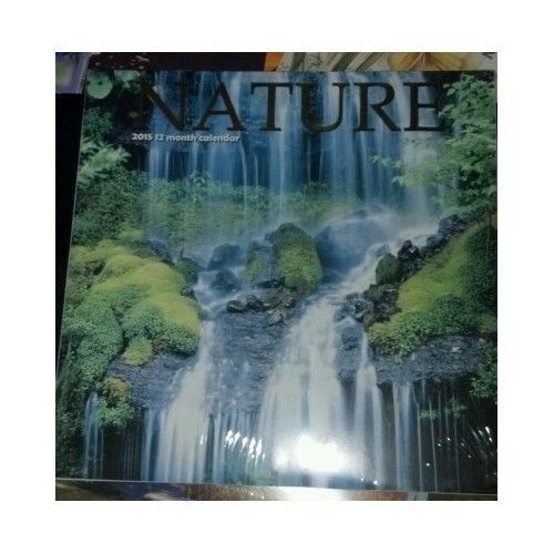 Wall Calendar 2015 Wild Scenery Photography Mountains Sea Seasons Canyons Trees
