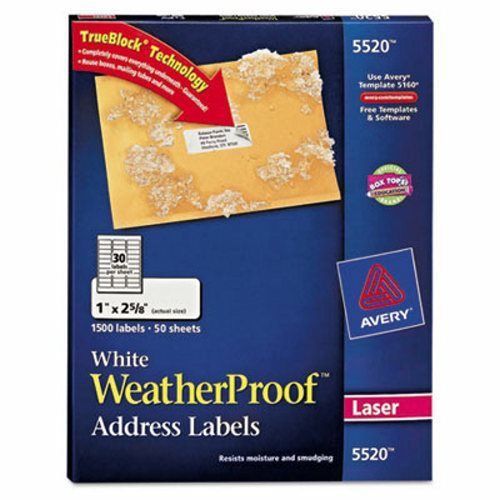 Avery White Weatherproof Laser Shipping Labels, 1 x 2-5/8, 1500/Pack (AVE5520)