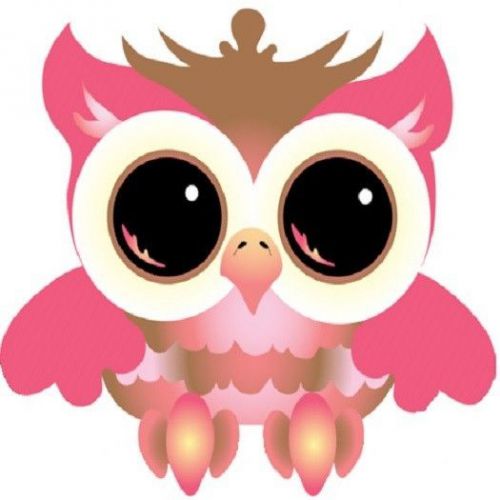30 Custom Wide Eyed Pink Owl Personalized Address Labels