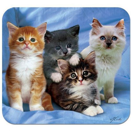 &#039;Kittens&#039; Deluxe Antimicrobial Mouse Pad