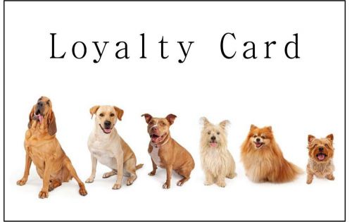 Dog Grooming Loyalty Cards x 100 Add a Paw loyalty stamp for ?10 on your order