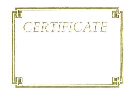 25  CERTIFICATES  8 1/2&#034; x 11&#034;  GOLD LEAFED   PARCHMENT PAPER   NEW