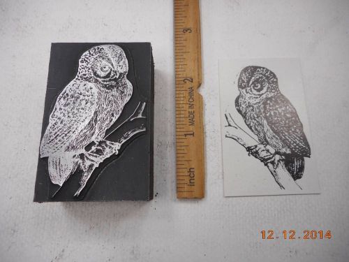 Letterpress Printing Printers Block, Serious Owl Bird