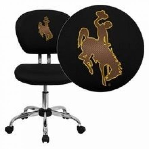 Flash Furniture H-2376-F-BK-40020-EMB-GG Wyoming Cowboys and Cowgirls Embroidere
