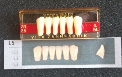 Vitapan Denture Teeth   L5L    2R2.5