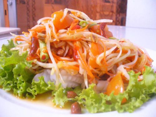 4 Street Food Recipe Cuisine Papaya Salad Somtum Taste DIY SHIPPIN NEW 04