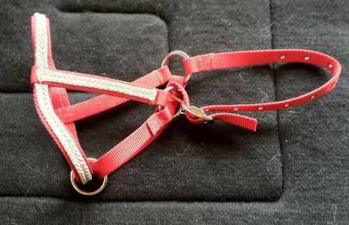 Llama Show Halter Red with Silver Grey Overlay size Medium/Large