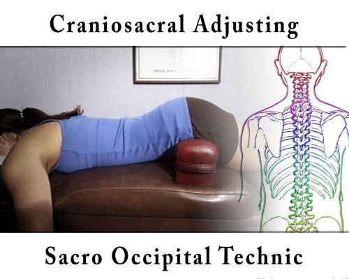 Craniosacral Adjusting Sacro Occipital Technic SOT 3 DVDs