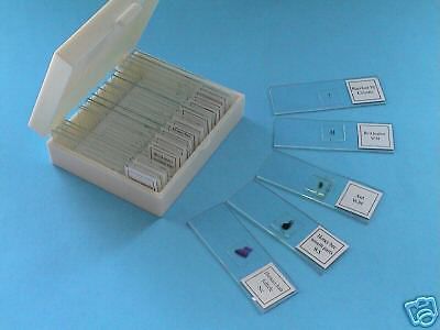 New! glass microscope prepared slides, 25pcs professional quality for sale