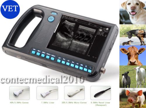 VET Veterinary Palmsmart Ultrasound Scanner Ultrasound System, 6.5 rectal probe