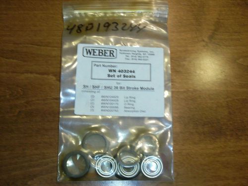 Weber Automatic Screw Driver System WN 403244 SEAL BEARING SET
