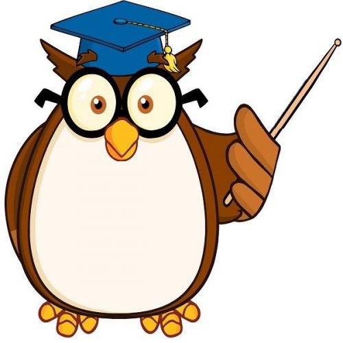 30 Custom Grad Teacher Owl Personalized Address Labels