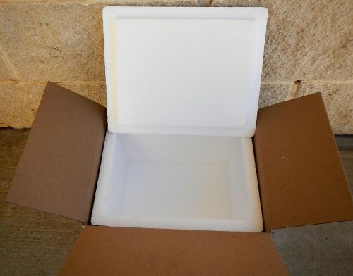 Thermosafe insulated multi-purpose foam container &amp; corrugated carton qty 12 for sale