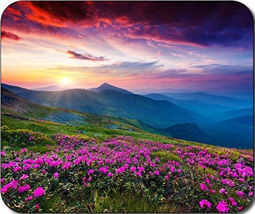 MYDply 1 X Nature Purple Flowers Meadow Mountain Scenic Large Mousepad Mouse Pad