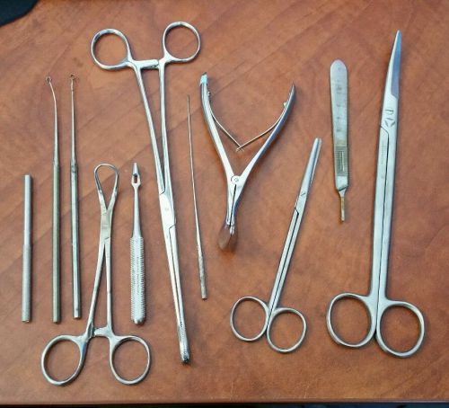 11 pc Lot of Stainless Surgical Instrument - Amico Bayer Misdom Frank Law Sklar