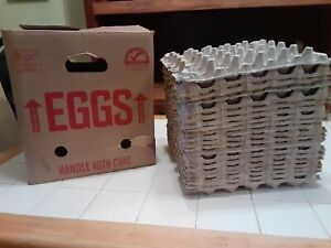 20 Trays Used 30 Count Egg Cartons Paper Trays Flats Crafts