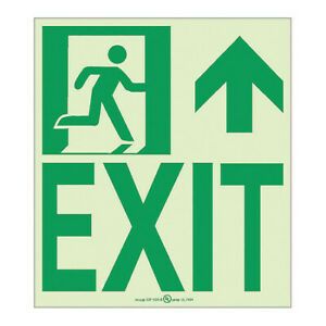 NMC 50F-6SN-R Nyc Wall Mount Exit Sign, Forward/Right Side, 9X8, Flex