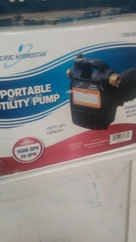 Portable utility pump pacific hydrostar for sale