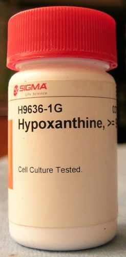 Hypoxantine, Sigma