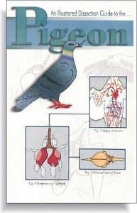 Illustrated dissection guide book to the pigeon for sale