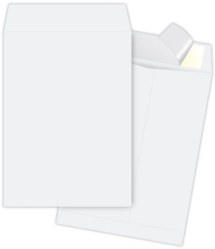 Tyvek Heavyweight Jumbo Envelopes White White Large Format Envelope R5121