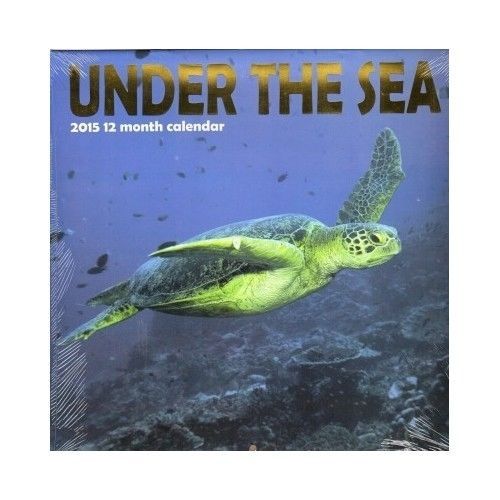 Wall Calendar 2015 Fish Turtles Dolphins Sharks Sting Ray Under Water Great Gift