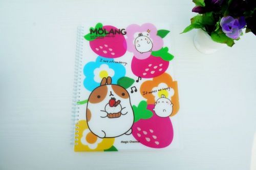 Molang A4 Paper Clear Ring File Folder, Office Documents File Cover : Strawberry