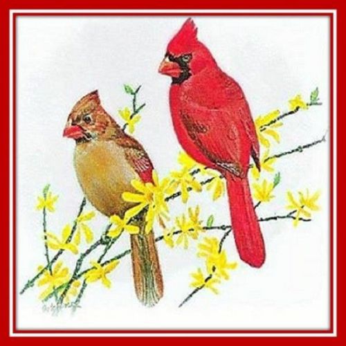 30 Custom Cardinal Art Personalized Address Labels
