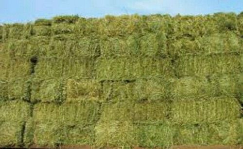 small bale hay and straw