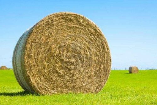 Round haylage, round hay, round or large square straw for sale for sale