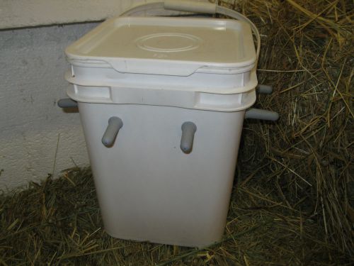 goat kid , lamb milk feeder nurse bucket