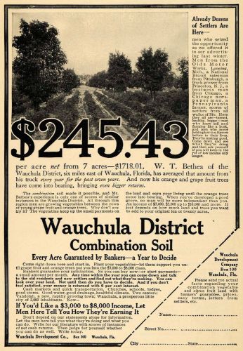 1914 ad wauchula development co real state acres sale - original advertising tw1 for sale