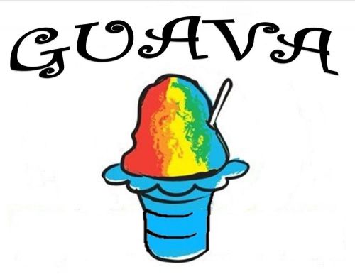 GUAVA SYRUP MIX SHAVED ICE / SNOW CONE Flavor GALLON CONCENTRATE #1