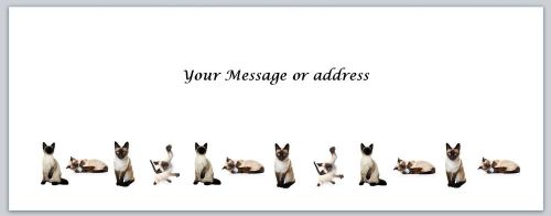 30 Personalized Return Address Labels Cats Buy 3 get 1 free (ct252)