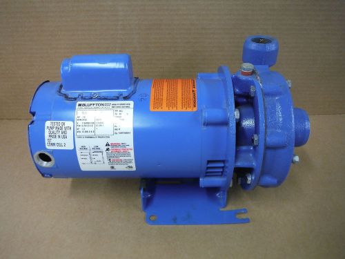 Goulds water technology centrifugal pump 1bf10712 3642 .75hp for sale