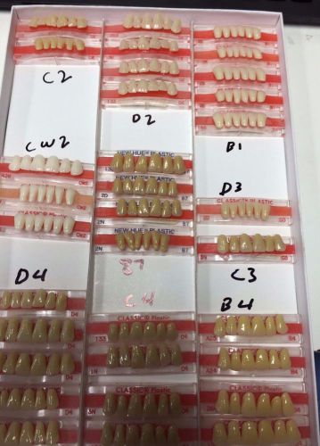 New Hue Plastic Dental Teeth Cards (33 total) Anterior