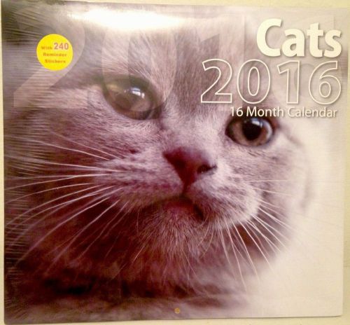 NEW CATS Scenery 2016 Wall Calendar Full Size + 240Appt Stickers 16 month Sealed
