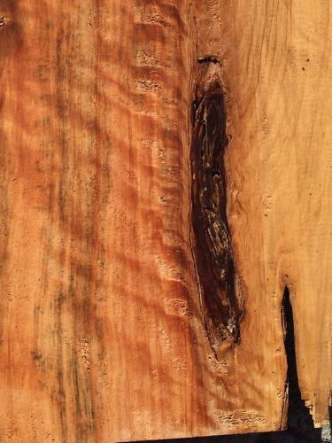 Hawaiian Monterey Cypress Reclaimed Live Edge Slab 15&#034;x13x1&#034; For Fine Woodworkin