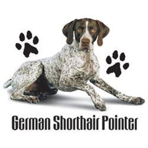 German pointer dog heat press transfer for t shirt sweatshirt tote fabric 846a for sale