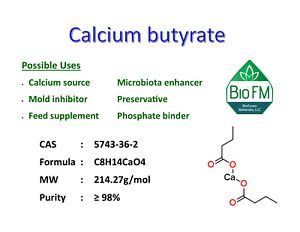 100g Calcium butyrate