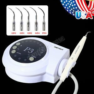 Dental Detachable Ultrasonic Piezo Scaler W/ Whitening Handpiece For DTE SATELEC