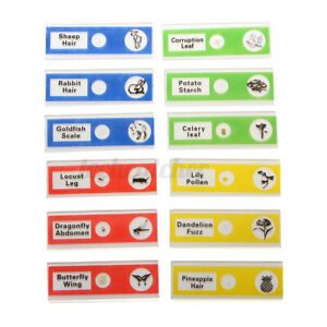 12 Pcs Prepared Microscope Slides Insects Specimen Animals Plants Flowers Sample