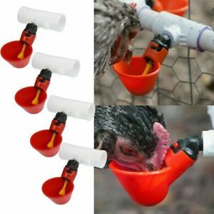 Chicken Water feeders Plastic Automatic Supplies Equipment Accessory 4pcs