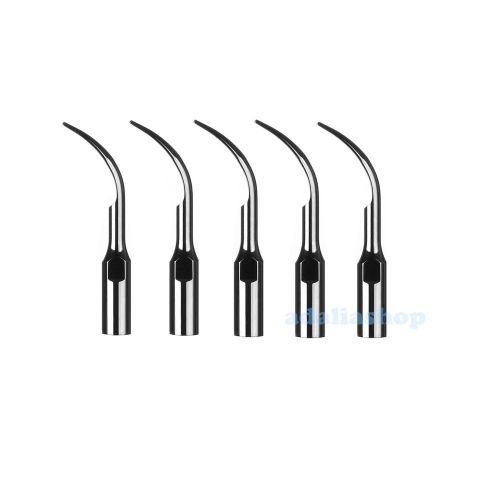 5 PCS GD1 Dental Scaling Tips Compatible DTE &amp; Satalec Ultrasonic Scaler