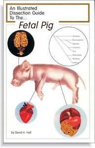 Illustrated dissection guide book to the pig for sale