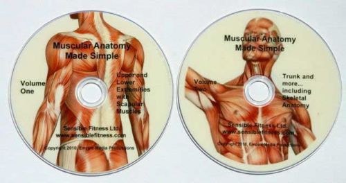 Muscle anatomy lessons on dvd for sale